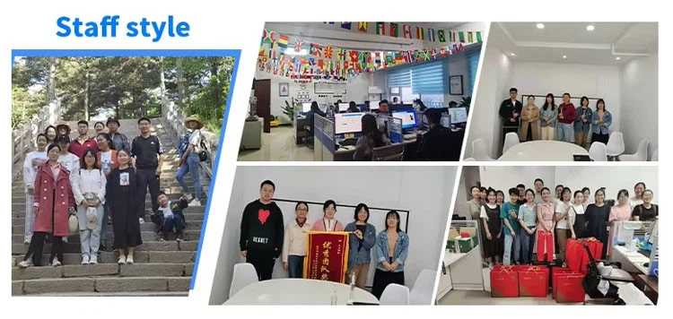 Luohe Goldenshell Machinery Equipment Co.,Ltd Team building&Work environment Luohe Goldenshell Machinery Equipment Co.,Ltd Team building&Work environment